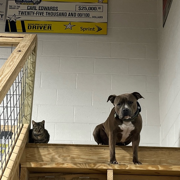 Meet your Posher, Tanya - Picture 4 of 6